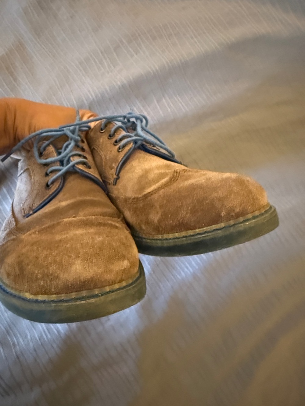 Ted Baker London Brown Suede derby Oxfords with Blue Accents - Picture 7 of 13